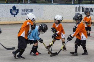 Find Local Ball Hockey Leagues Near You - Play Today! Your Ultimate Source for Hockey Updates, Training Guides, and Equipment Recommendations Find Local Ball Hockey Leagues Near You - Play Today! | Your Ultimate Source for Hockey Updates, Training Guides, and Equipment Recommendations
