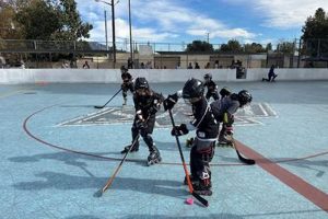 Play Roller Hockey: Burbank Leagues & Rinks! Your Ultimate Source for Hockey Updates, Training Guides, and Equipment Recommendations Play Roller Hockey: Burbank Leagues & Rinks! | Your Ultimate Source for Hockey Updates, Training Guides, and Equipment Recommendations