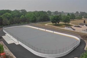 Play Hockey: Chicago Outdoor Roller Hockey Rink Guide Your Ultimate Source for Hockey Updates, Training Guides, and Equipment Recommendations Play Hockey: Chicago Outdoor Roller Hockey Rink Guide | Your Ultimate Source for Hockey Updates, Training Guides, and Equipment Recommendations
