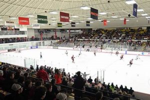 Your Guide to Brown University's Hockey Rink: Bears on Ice! Your Ultimate Source for Hockey Updates, Training Guides, and Equipment Recommendations Your Guide to Brown University's Hockey Rink: Bears on Ice! | Your Ultimate Source for Hockey Updates, Training Guides, and Equipment Recommendations