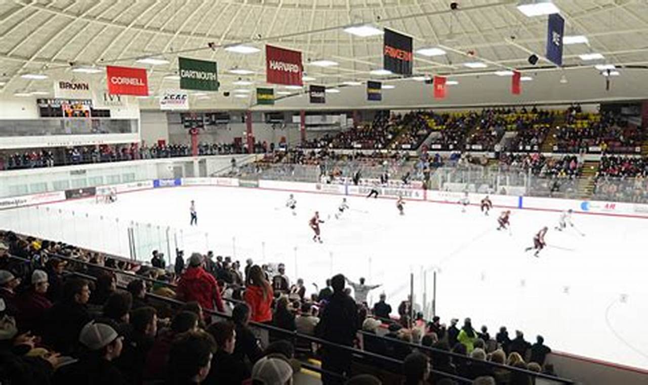 Your Guide to Brown University's Hockey Rink: Bears on Ice! Your Ultimate Source for Hockey Updates, Training Guides, and Equipment Recommendations Your Guide to Brown University's Hockey Rink: Bears on Ice! | Your Ultimate Source for Hockey Updates, Training Guides, and Equipment Recommendations