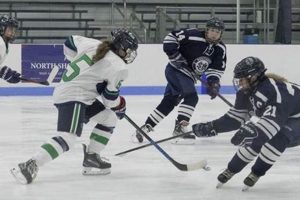 Endicott Women's Ice Hockey: Gulls on the Rise! Your Ultimate Source for Hockey Updates, Training Guides, and Equipment Recommendations Endicott Women's Ice Hockey: Gulls on the Rise! | Your Ultimate Source for Hockey Updates, Training Guides, and Equipment Recommendations