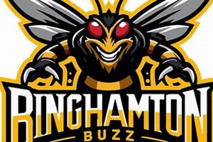 Your Guide to Binghamton Buzz Hockey: News, Scores & More Your Ultimate Source for Hockey Updates, Training Guides, and Equipment Recommendations Your Guide to Binghamton Buzz Hockey: News, Scores & More | Your Ultimate Source for Hockey Updates, Training Guides, and Equipment Recommendations