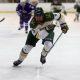 Skidmore Hockey Roster: The Team, Players & More! | Your Ultimate Source for Hockey Updates, Training Guides, and Equipment Recommendations