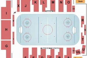Cheap Brahmas Hockey Tickets: Deals & Availability Your Ultimate Source for Hockey Updates, Training Guides, and Equipment Recommendations Cheap Brahmas Hockey Tickets: Deals & Availability | Your Ultimate Source for Hockey Updates, Training Guides, and Equipment Recommendations