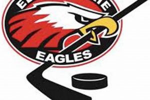 Guide to Eden Prairie MN Hockey: Teams & More! Your Ultimate Source for Hockey Updates, Training Guides, and Equipment Recommendations Guide to Eden Prairie MN Hockey: Teams & More! | Your Ultimate Source for Hockey Updates, Training Guides, and Equipment Recommendations