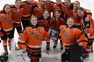 Guide to Minnesota Hockey Regional Tournaments: Qualify & Win! Your Ultimate Source for Hockey Updates, Training Guides, and Equipment Recommendations Guide to Minnesota Hockey Regional Tournaments: Qualify & Win! | Your Ultimate Source for Hockey Updates, Training Guides, and Equipment Recommendations
