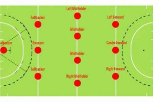 Field Hockey Positions & Roles: The Ultimate Guide + Your Ultimate Source for Hockey Updates, Training Guides, and Equipment Recommendations Field Hockey Positions & Roles: The Ultimate Guide + | Your Ultimate Source for Hockey Updates, Training Guides, and Equipment Recommendations