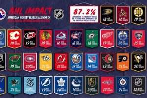 Find American Hockey League Jobs: Your AHL Career! Your Ultimate Source for Hockey Updates, Training Guides, and Equipment Recommendations Find American Hockey League Jobs: Your AHL Career! | Your Ultimate Source for Hockey Updates, Training Guides, and Equipment Recommendations