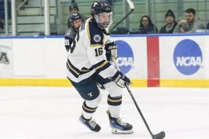 Trine Hockey Roster: Player List & Team Details Your Ultimate Source for Hockey Updates, Training Guides, and Equipment Recommendations Trine Hockey Roster: Player List & Team Details | Your Ultimate Source for Hockey Updates, Training Guides, and Equipment Recommendations