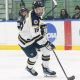 Trine Hockey Roster: Player List &amp; Team Details | Your Ultimate Source for Hockey Updates, Training Guides, and Equipment Recommendations