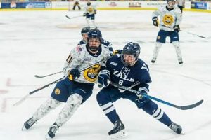Yale Hockey vs Quinnipiac: A CT College Hockey Rivalry Your Ultimate Source for Hockey Updates, Training Guides, and Equipment Recommendations Yale Hockey vs Quinnipiac: A CT College Hockey Rivalry | Your Ultimate Source for Hockey Updates, Training Guides, and Equipment Recommendations