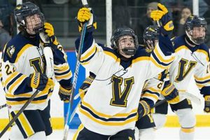 Complete Section V Hockey Stats & Standings [Year] | Your Ultimate Source for Hockey Updates, Training Guides, and Equipment Recommendations