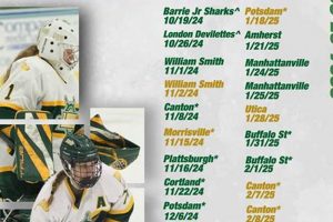 2024 Oswego Women's Hockey Roster: Season Lineup Your Ultimate Source for Hockey Updates, Training Guides, and Equipment Recommendations 2024 Oswego Women's Hockey Roster: Season Lineup | Your Ultimate Source for Hockey Updates, Training Guides, and Equipment Recommendations