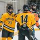 Achieve Superior Hockey: Skills & Drills for Dominance | Your Ultimate Source for Hockey Updates, Training Guides, and Equipment Recommendations