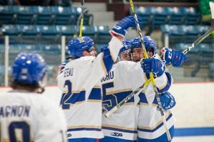 Get Your Hamilton Men's Hockey Schedule + More! Your Ultimate Source for Hockey Updates, Training Guides, and Equipment Recommendations Get Your Hamilton Men's Hockey Schedule + More! | Your Ultimate Source for Hockey Updates, Training Guides, and Equipment Recommendations