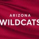 Get Arizona Wildcats Hockey Tickets | Deals & Info | Your Ultimate Source for Hockey Updates, Training Guides, and Equipment Recommendations