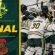 Get Clarkson Men's Hockey Tickets | Cheel Arena Access | Your Ultimate Source for Hockey Updates, Training Guides, and Equipment Recommendations
