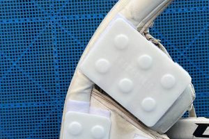 Best Deck Hockey Goalie Equipment: Protection & Gear Guide Your Ultimate Source for Hockey Updates, Training Guides, and Equipment Recommendations Best Deck Hockey Goalie Equipment: Protection & Gear Guide | Your Ultimate Source for Hockey Updates, Training Guides, and Equipment Recommendations