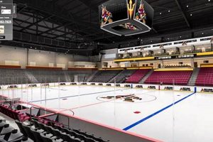 Find Local Hockey Games AZ: Schedules, Teams & Tickets Your Ultimate Source for Hockey Updates, Training Guides, and Equipment Recommendations Find Local Hockey Games AZ: Schedules, Teams & Tickets | Your Ultimate Source for Hockey Updates, Training Guides, and Equipment Recommendations