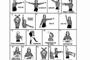 Mastering Field Hockey Ref Signals: Your Guide to the Game Your Ultimate Source for Hockey Updates, Training Guides, and Equipment Recommendations Mastering Field Hockey Ref Signals: Your Guide to the Game | Your Ultimate Source for Hockey Updates, Training Guides, and Equipment Recommendations