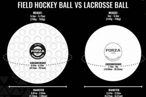 Field Hockey Ball vs Lacrosse Ball: Key Differences Explained Your Ultimate Source for Hockey Updates, Training Guides, and Equipment Recommendations Field Hockey Ball vs Lacrosse Ball: Key Differences Explained | Your Ultimate Source for Hockey Updates, Training Guides, and Equipment Recommendations