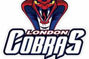 Cobra Hockey: Play Like a Snake, Strike Like a King! Your Ultimate Source for Hockey Updates, Training Guides, and Equipment Recommendations Cobra Hockey: Play Like a Snake, Strike Like a King! | Your Ultimate Source for Hockey Updates, Training Guides, and Equipment Recommendations