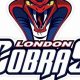 Cobra Hockey: Play Like a Snake, Strike Like a King! | Your Ultimate Source for Hockey Updates, Training Guides, and Equipment Recommendations