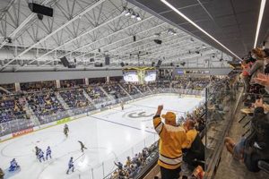 Why How Cold Is It in Hockey Arenas Matters: Secrets! Your Ultimate Source for Hockey Updates, Training Guides, and Equipment Recommendations Why How Cold Is It in Hockey Arenas Matters: Secrets! | Your Ultimate Source for Hockey Updates, Training Guides, and Equipment Recommendations