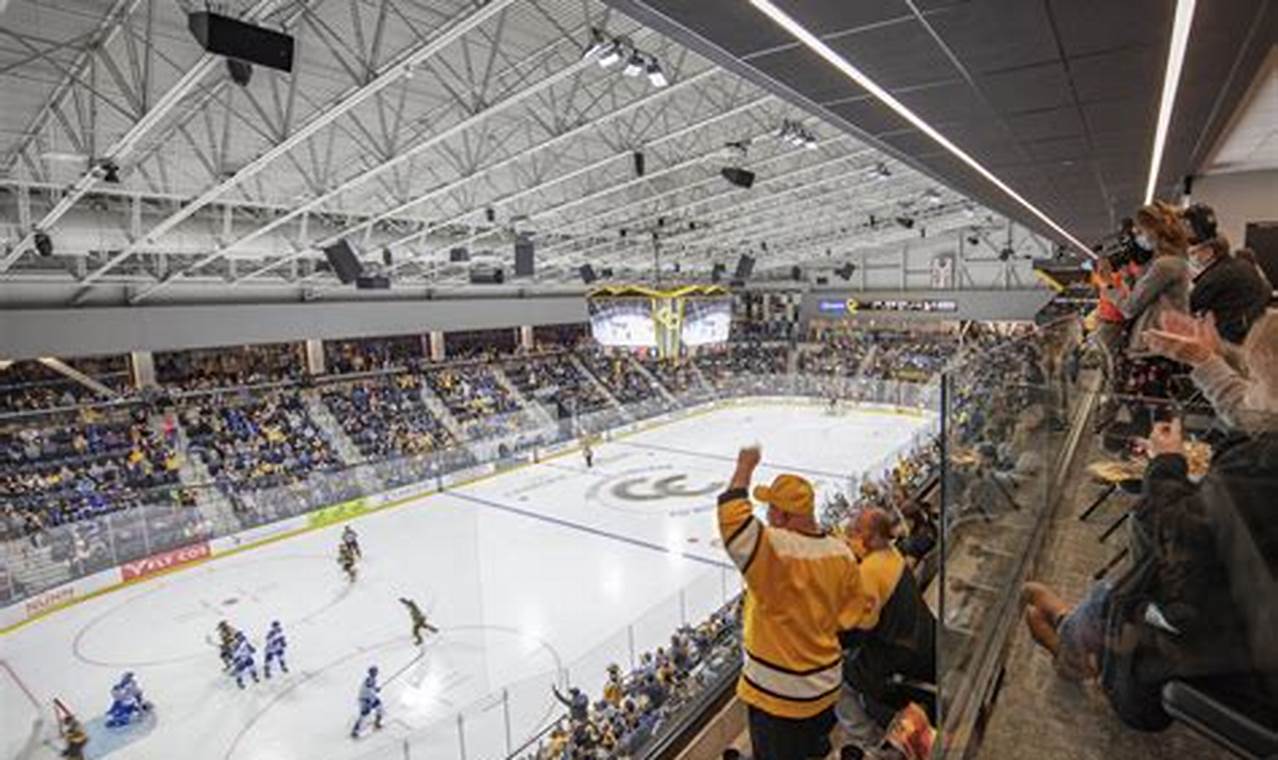Why How Cold Is It in Hockey Arenas Matters: Secrets! Your Ultimate Source for Hockey Updates, Training Guides, and Equipment Recommendations Why How Cold Is It in Hockey Arenas Matters: Secrets! | Your Ultimate Source for Hockey Updates, Training Guides, and Equipment Recommendations