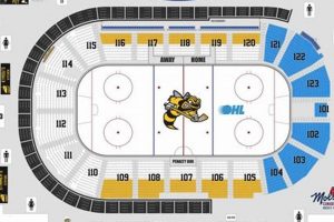 Get Sarnia Sting Hockey Tickets Now! Best Prices Your Ultimate Source for Hockey Updates, Training Guides, and Equipment Recommendations Get Sarnia Sting Hockey Tickets Now! Best Prices | Your Ultimate Source for Hockey Updates, Training Guides, and Equipment Recommendations
