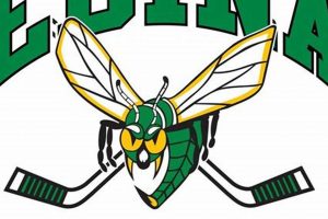 Youth Edina Hockey Tournament: [Year] Preview &amp; Results | Your Ultimate Source for Hockey Updates, Training Guides, and Equipment Recommendations