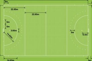 Field Hockey Diagram: Layout & Dimensions Explained Your Ultimate Source for Hockey Updates, Training Guides, and Equipment Recommendations Field Hockey Diagram: Layout & Dimensions Explained | Your Ultimate Source for Hockey Updates, Training Guides, and Equipment Recommendations