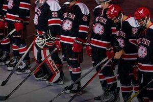 ACHA vs NCAA Hockey: Which College Hockey Path Is Best? Your Ultimate Source for Hockey Updates, Training Guides, and Equipment Recommendations ACHA vs NCAA Hockey: Which College Hockey Path Is Best? | Your Ultimate Source for Hockey Updates, Training Guides, and Equipment Recommendations