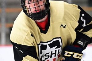 Brian Lonergan Hockey: Agent, NHL & Career Impact Your Ultimate Source for Hockey Updates, Training Guides, and Equipment Recommendations Brian Lonergan Hockey: Agent, NHL & Career Impact | Your Ultimate Source for Hockey Updates, Training Guides, and Equipment Recommendations