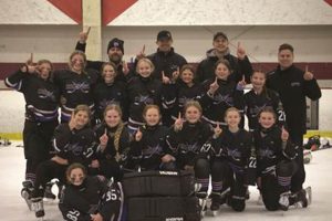 Anoka Rogers Youth Hockey: [Your Benefits] & More! | Your Ultimate Source for Hockey Updates, Training Guides, and Equipment Recommendations