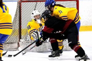 Hilbert Women's Hockey: Hawks on Ice! Your Ultimate Source for Hockey Updates, Training Guides, and Equipment Recommendations Hilbert Women's Hockey: Hawks on Ice! | Your Ultimate Source for Hockey Updates, Training Guides, and Equipment Recommendations