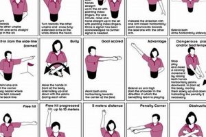 Master Field Hockey: Umpire Signals & Guide Your Ultimate Source for Hockey Updates, Training Guides, and Equipment Recommendations Master Field Hockey: Umpire Signals & Guide | Your Ultimate Source for Hockey Updates, Training Guides, and Equipment Recommendations