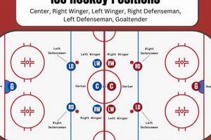 Mastering Hockey Formations: Strategy &amp; Systems | Your Ultimate Source for Hockey Updates, Training Guides, and Equipment Recommendations