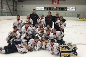 Firehawks Hockey: League, Team, and Community | Your Ultimate Source for Hockey Updates, Training Guides, and Equipment Recommendations