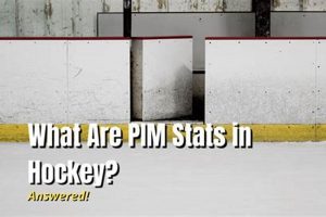Decoding PIM: What is PIM in Hockey Stats? A Complete Guide Your Ultimate Source for Hockey Updates, Training Guides, and Equipment Recommendations Decoding PIM: What is PIM in Hockey Stats? A Complete Guide | Your Ultimate Source for Hockey Updates, Training Guides, and Equipment Recommendations