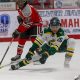 Watch USHL Hockey Playoffs Live: Scores &amp; Schedule! | Your Ultimate Source for Hockey Updates, Training Guides, and Equipment Recommendations