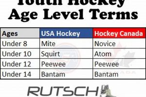 Understanding Hockey Age Levels: Your Guide + More! Your Ultimate Source for Hockey Updates, Training Guides, and Equipment Recommendations Understanding Hockey Age Levels: Your Guide + More! | Your Ultimate Source for Hockey Updates, Training Guides, and Equipment Recommendations
