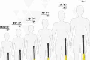 Hockey Stick Height: How High Should a Hockey Stick Be? Guide | Your Ultimate Source for Hockey Updates, Training Guides, and Equipment Recommendations