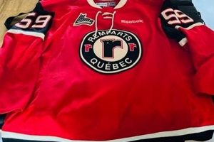 Buy a Game Worn Hockey Jersey Today! Authentic Collectibles Your Ultimate Source for Hockey Updates, Training Guides, and Equipment Recommendations Buy a Game Worn Hockey Jersey Today! Authentic Collectibles | Your Ultimate Source for Hockey Updates, Training Guides, and Equipment Recommendations