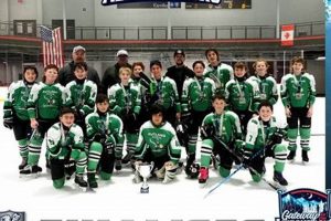 TCS Hockey Tournament: [Year] Game On! | Your Ultimate Source for Hockey Updates, Training Guides, and Equipment Recommendations