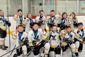 Learn Valley Youth Hockey & Skills [Guide] | Your Ultimate Source for Hockey Updates, Training Guides, and Equipment Recommendations