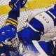 Unlock Value: Dominik Hasek Hockey Cards Guide | Your Ultimate Source for Hockey Updates, Training Guides, and Equipment Recommendations
