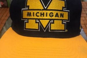 Best Michigan Hockey Hat: Show Your Pride! | Your Ultimate Source for Hockey Updates, Training Guides, and Equipment Recommendations