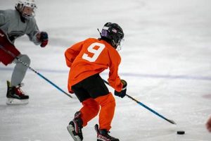 Michigan Meijer State Games Hockey | Youth Ice Tournament Your Ultimate Source for Hockey Updates, Training Guides, and Equipment Recommendations Michigan Meijer State Games Hockey | Youth Ice Tournament | Your Ultimate Source for Hockey Updates, Training Guides, and Equipment Recommendations
